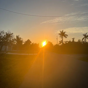 Meet your Posher, Lily